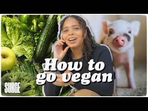HOW TO GO VEGAN (in 5 simple steps).