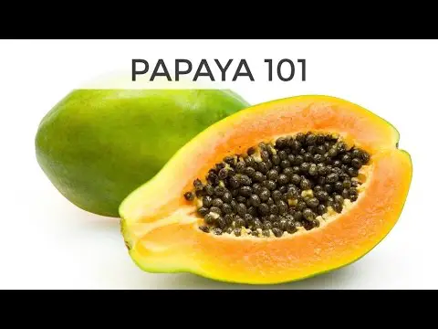 Papaya 101 | Everything You Need To Know