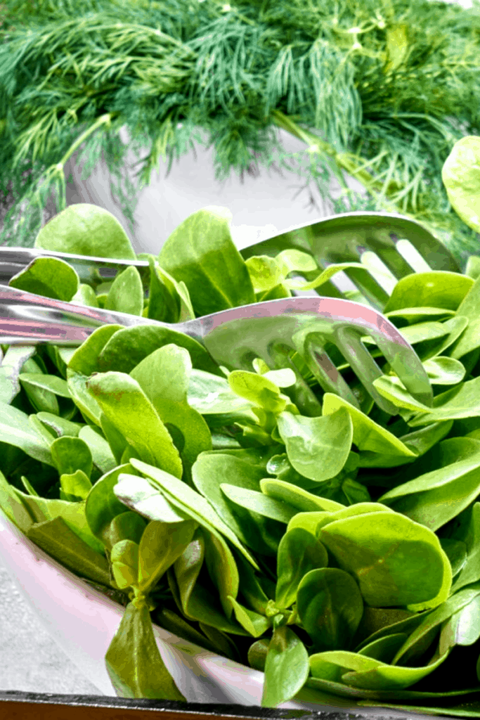 A bowl of leafy greens