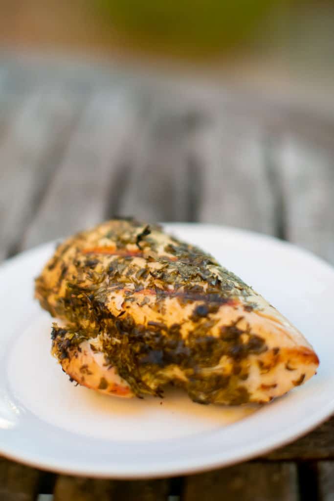 Lemon herb chicken plated outside on a picnic table