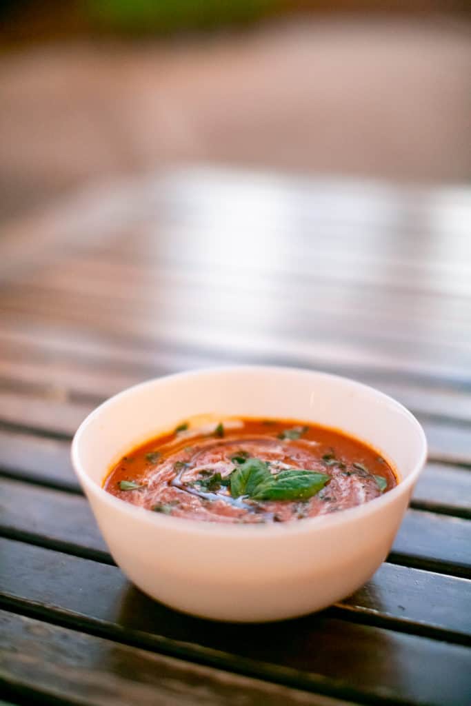 Rustic tomato soup sprinkled with fresh basil leaves