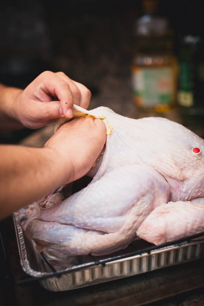 Person putting spices under a turkey's skin