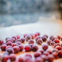 Fresh cranberries topped with powdered sugar placed on parchment paper