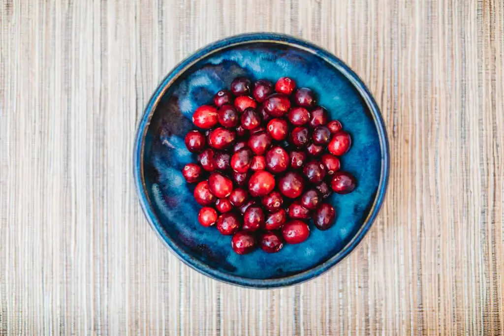 Ripe red cranberries in a blue bowl