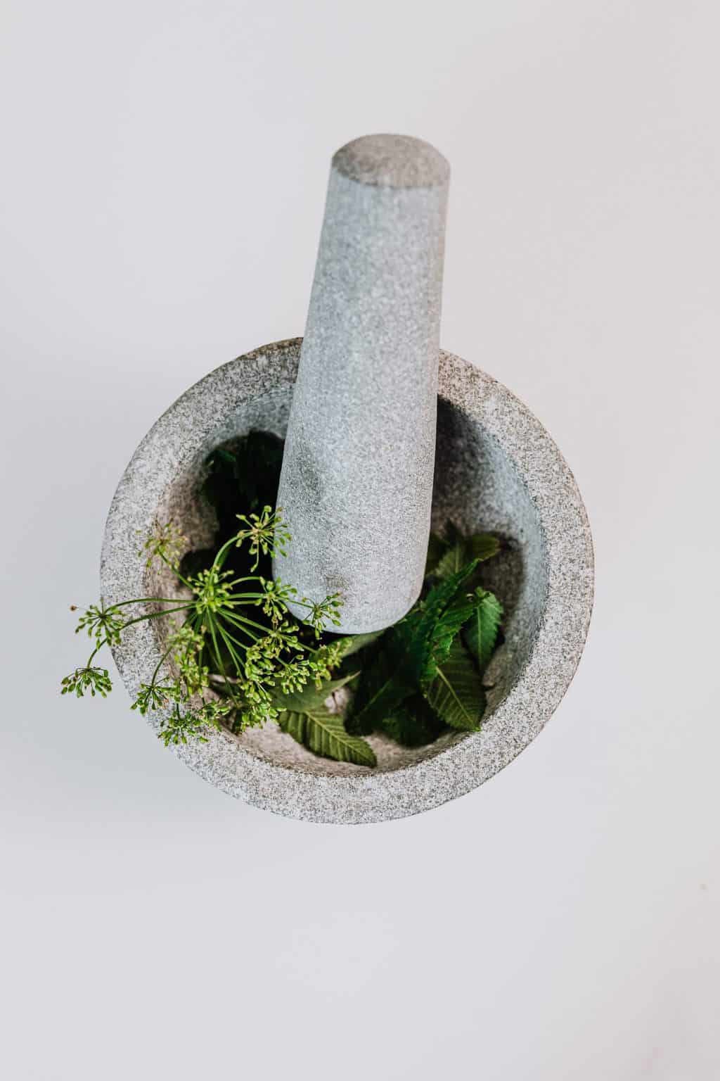 How to Make a Mortar and Pestle BeginnerFood