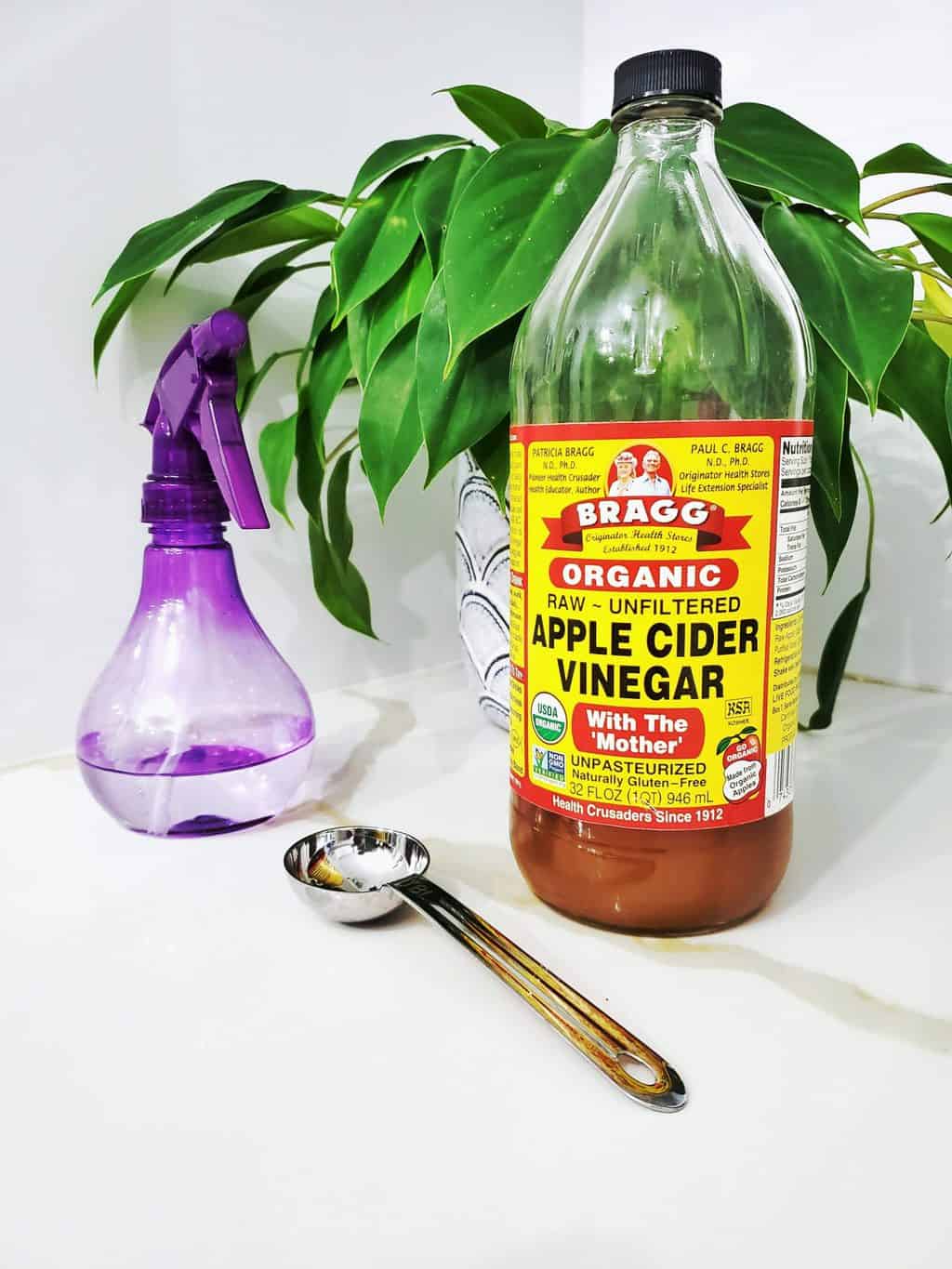 how-to-make-apple-cider-vinegar-not-taste-so-bad-beginnerfood