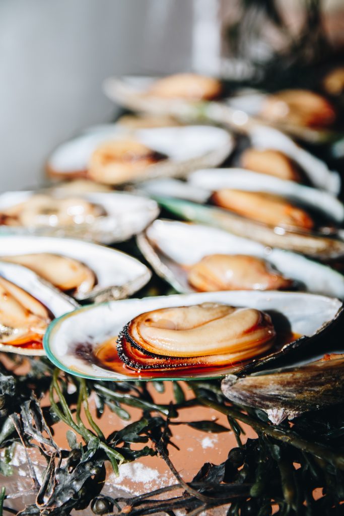 Close up shot of cooked shells