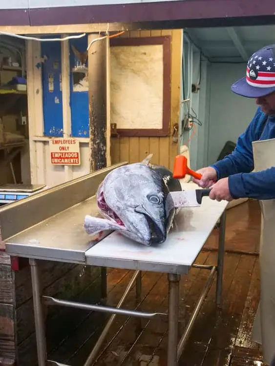 Man slicing fresh tuna